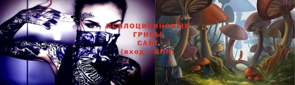 прущие крисы Горнозаводск