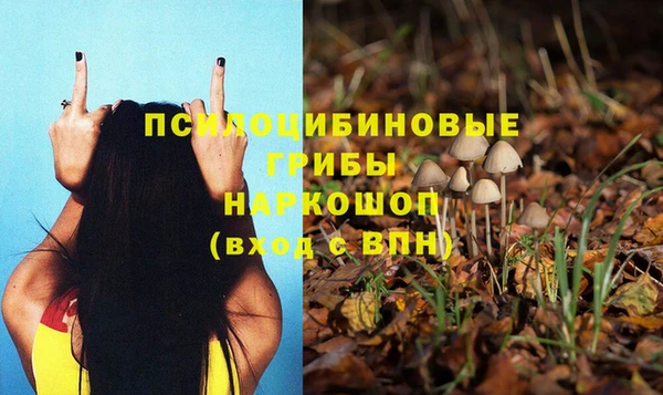 прущая мука Горно-Алтайск