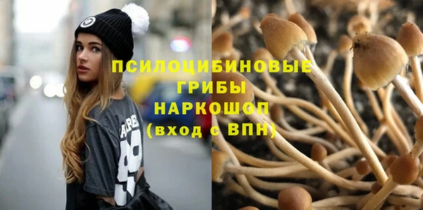 прущая мука Горно-Алтайск