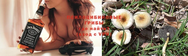 прущая мука Горно-Алтайск
