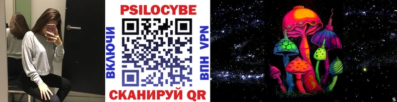 Галлюциногенные грибы Psilocybe  Купить где  Облучье 