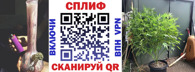 Бошки марихуана конопля Облучье